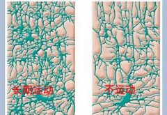 兒童色色污污免费APP下载网站廠家科普運動可以有效促進兒童智力發育