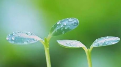 超聲波色色视频网站入口兒童生長發育測試儀廠家告訴你孩子長高個的秘密，再也不用擔心寶寶長不高了